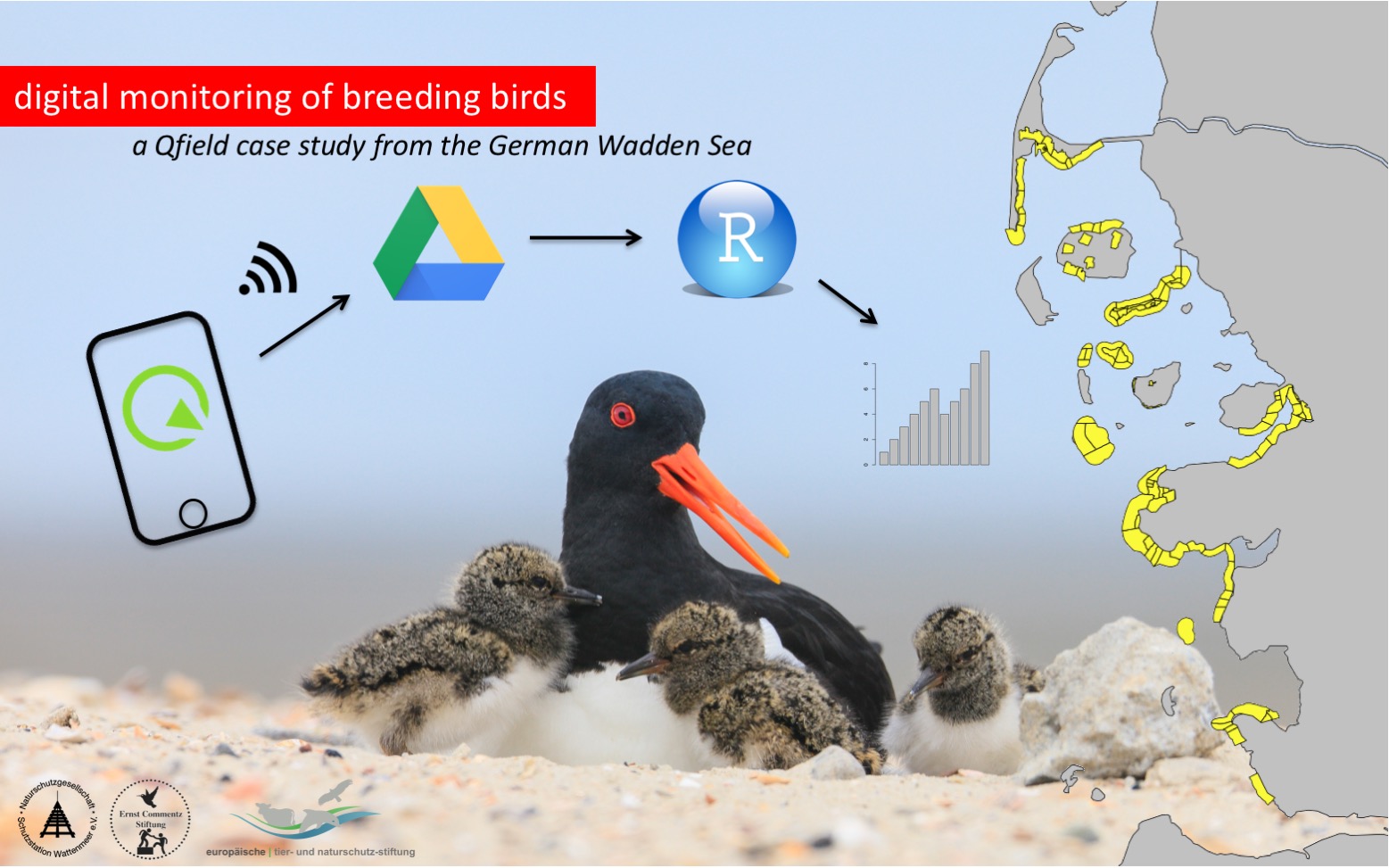 Schutzstation Wattenmeer project sketch